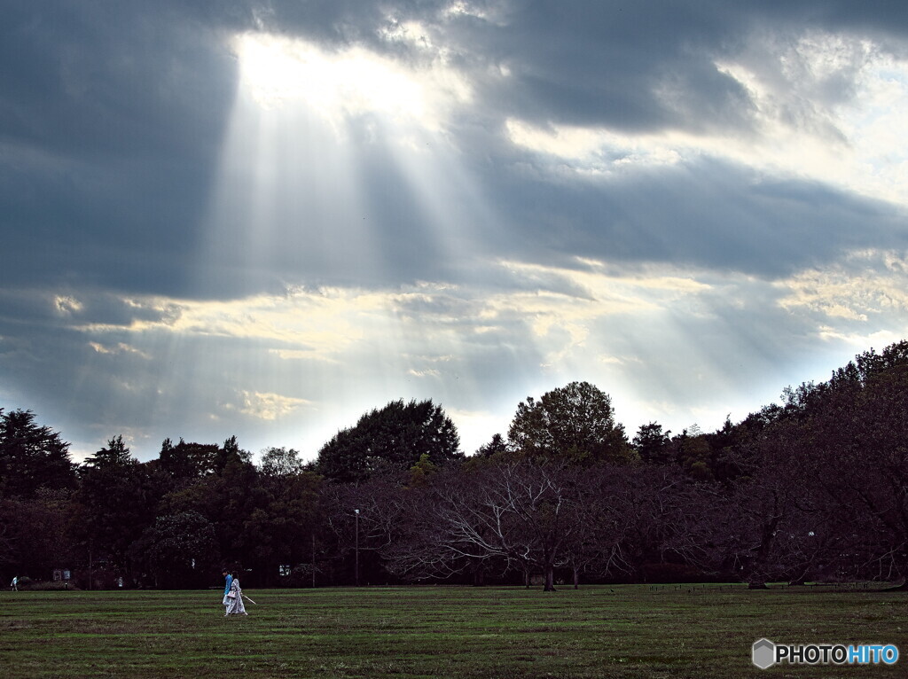 秋の夕暮れ＃１