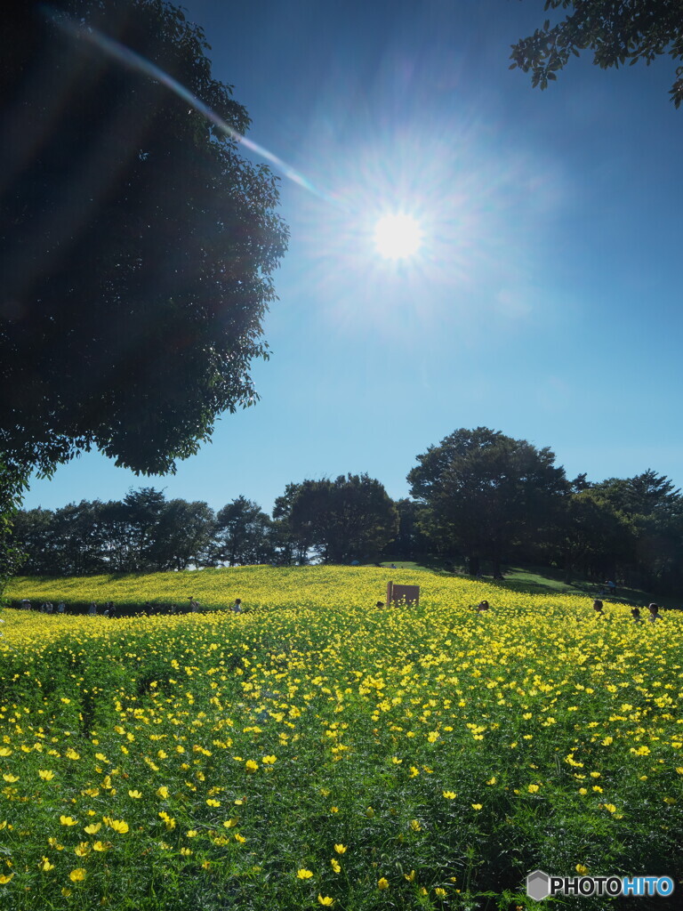 キンキラキンとさりげなく＃１