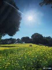 キンキラキンとさりげなく＃１