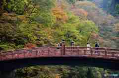 日光神橋の紅葉その１