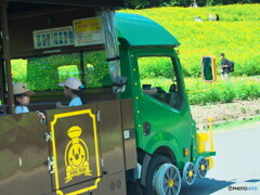 パークトレインは楽しいな
