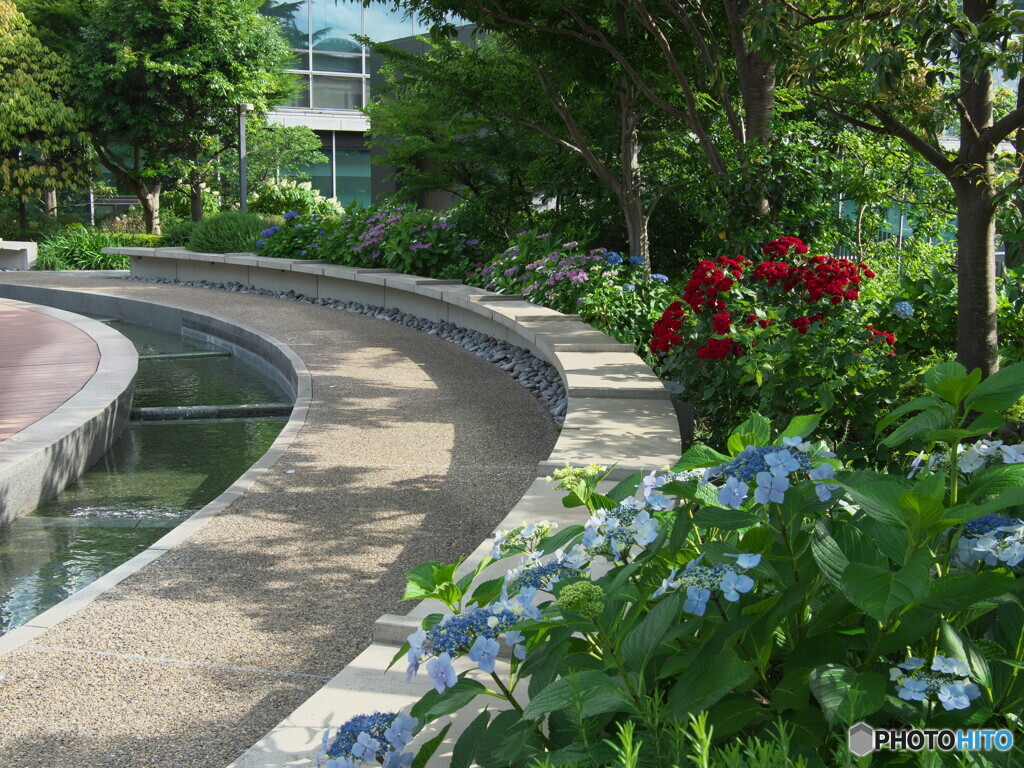 弧のある風景