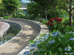 弧のある風景
