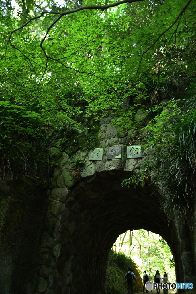 トンネルの向こうには　DSC_3958