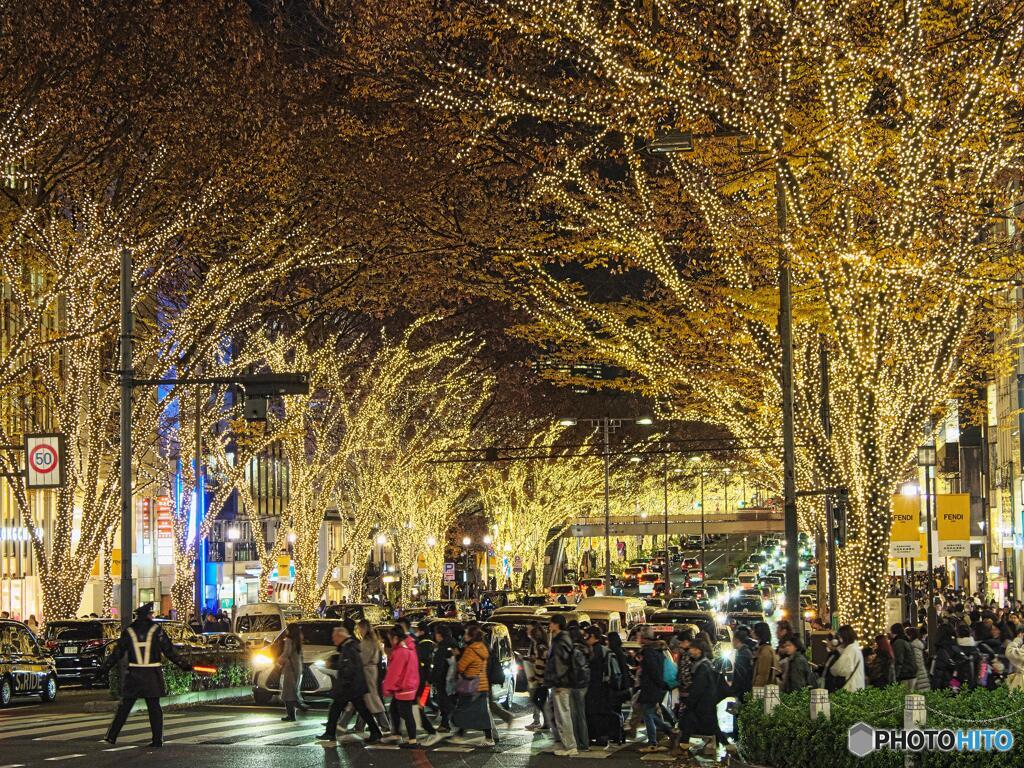 表参道ケヤキ並木のイルミネーション