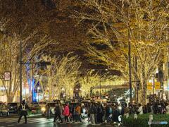 表参道ケヤキ並木のイルミネーション