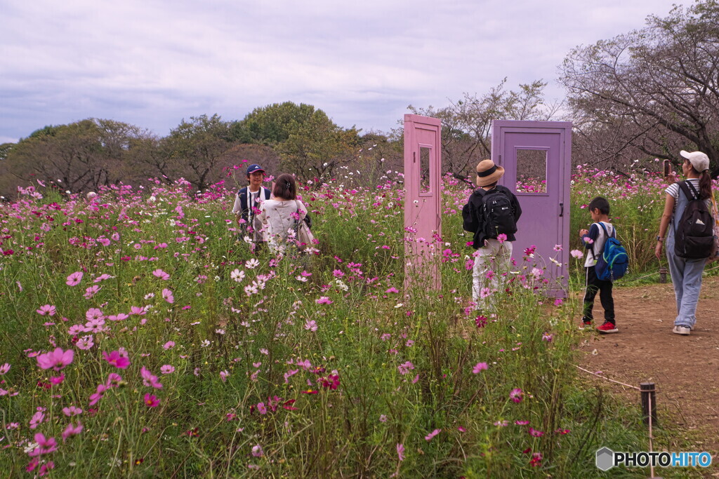 過ぎた秋を偲ぶ＃２