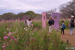 過ぎた秋を偲ぶ＃２