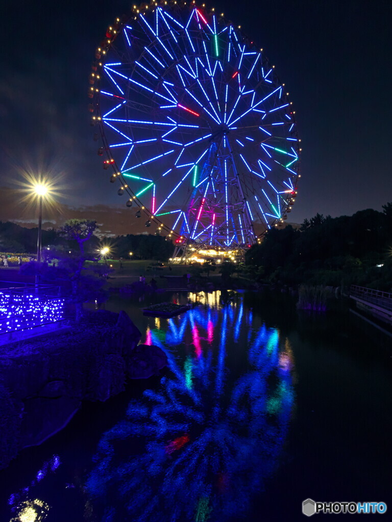 映り込む大観覧車