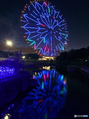 映り込む大観覧車