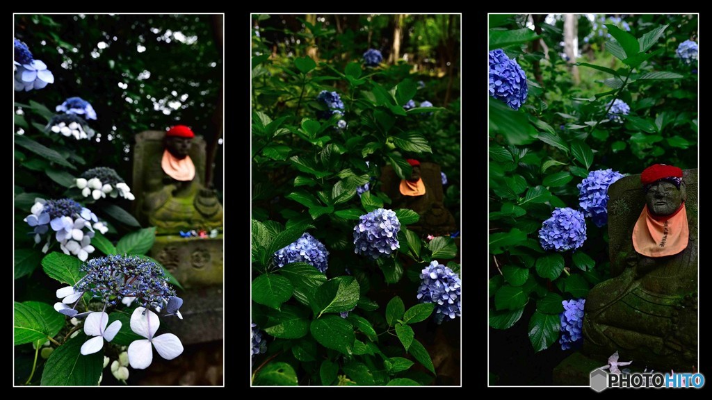 紫陽花と石仏～２