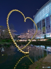 ♡の先に　P3241841
