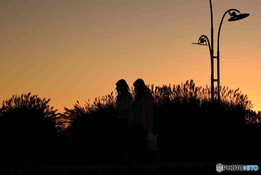 今日の夕ご飯何にする