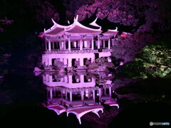 旧御涼亭のライトアップ其の1　P1128343