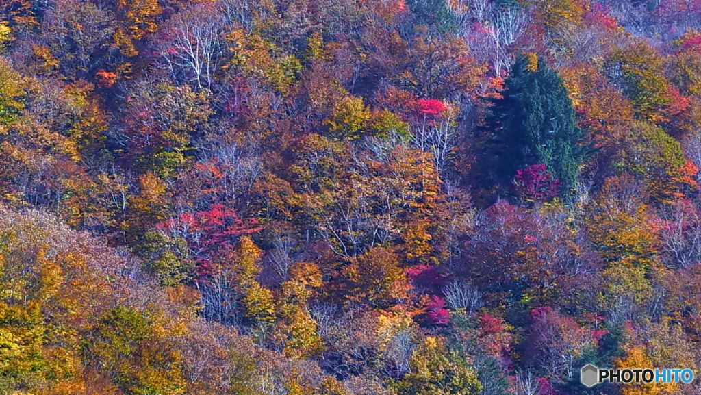 紅葉風景　P1017042
