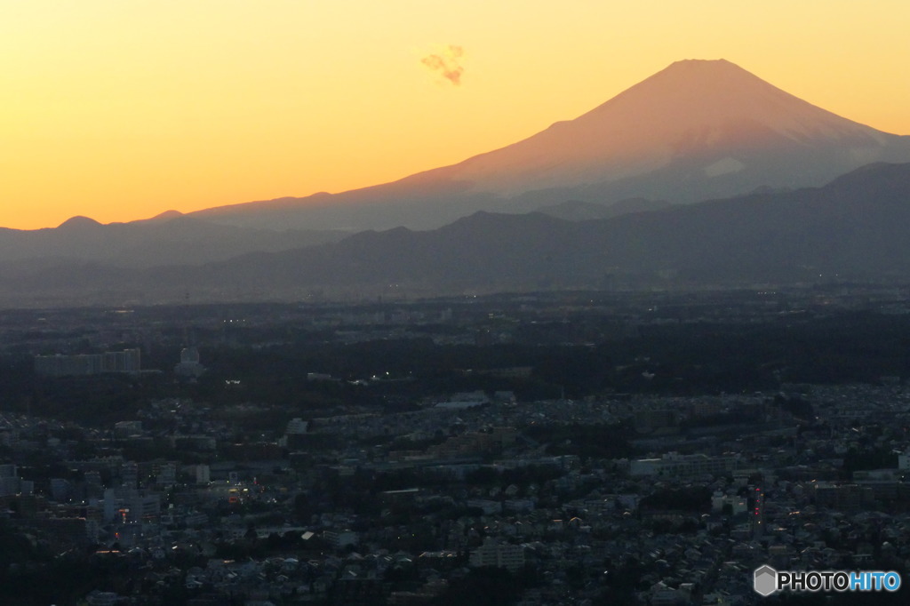 紅富士　P1090250