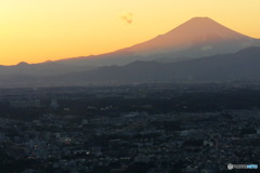 紅富士　P1090250