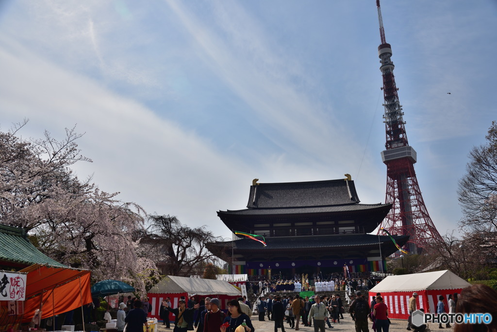 東京タワーは不滅です～２