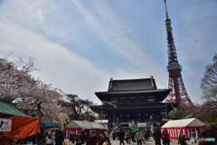 東京タワーは不滅です～２