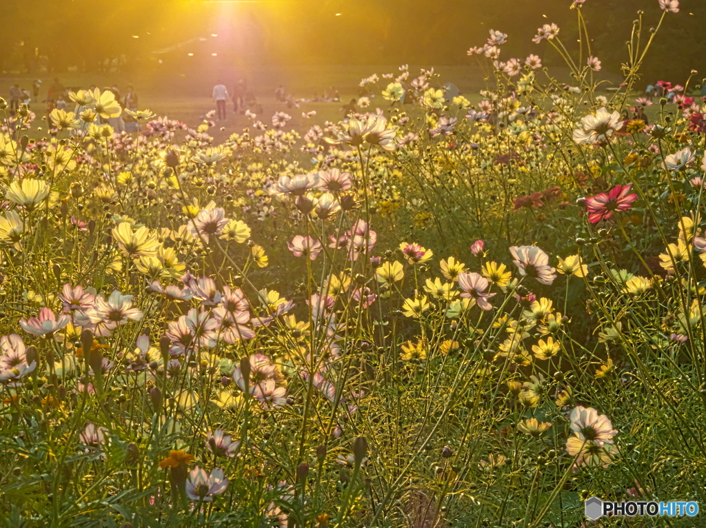 yellow world PA310861