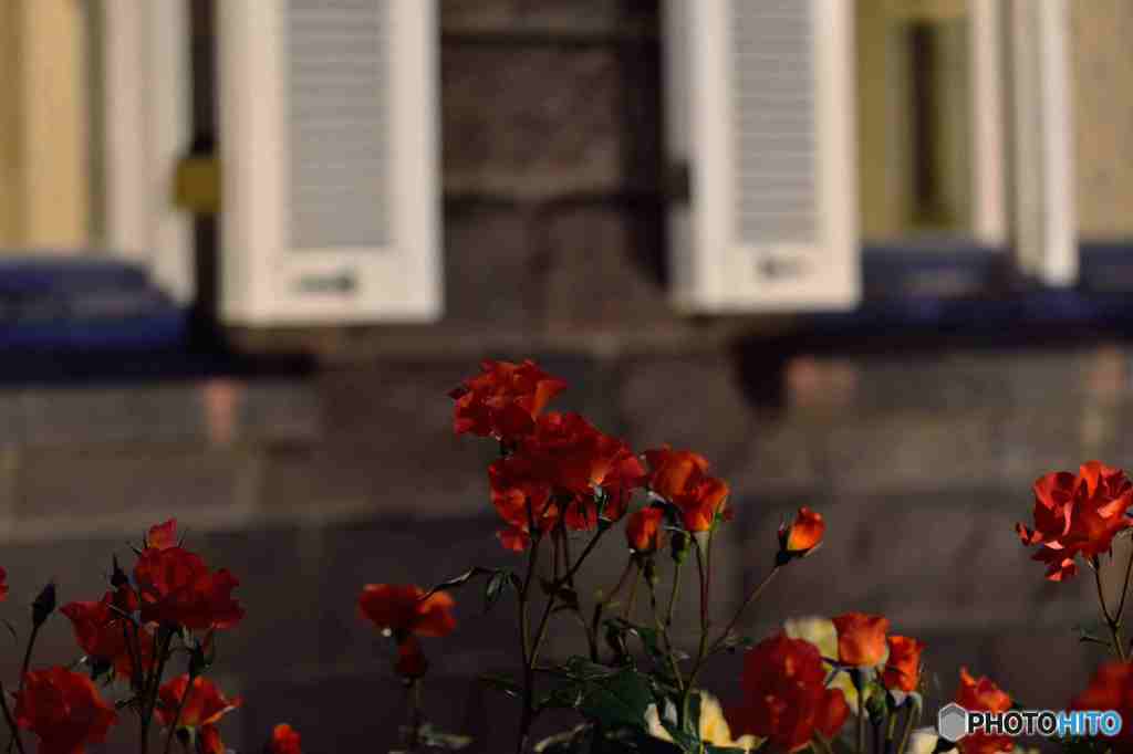 ライトアップ～４