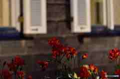 ライトアップ～４