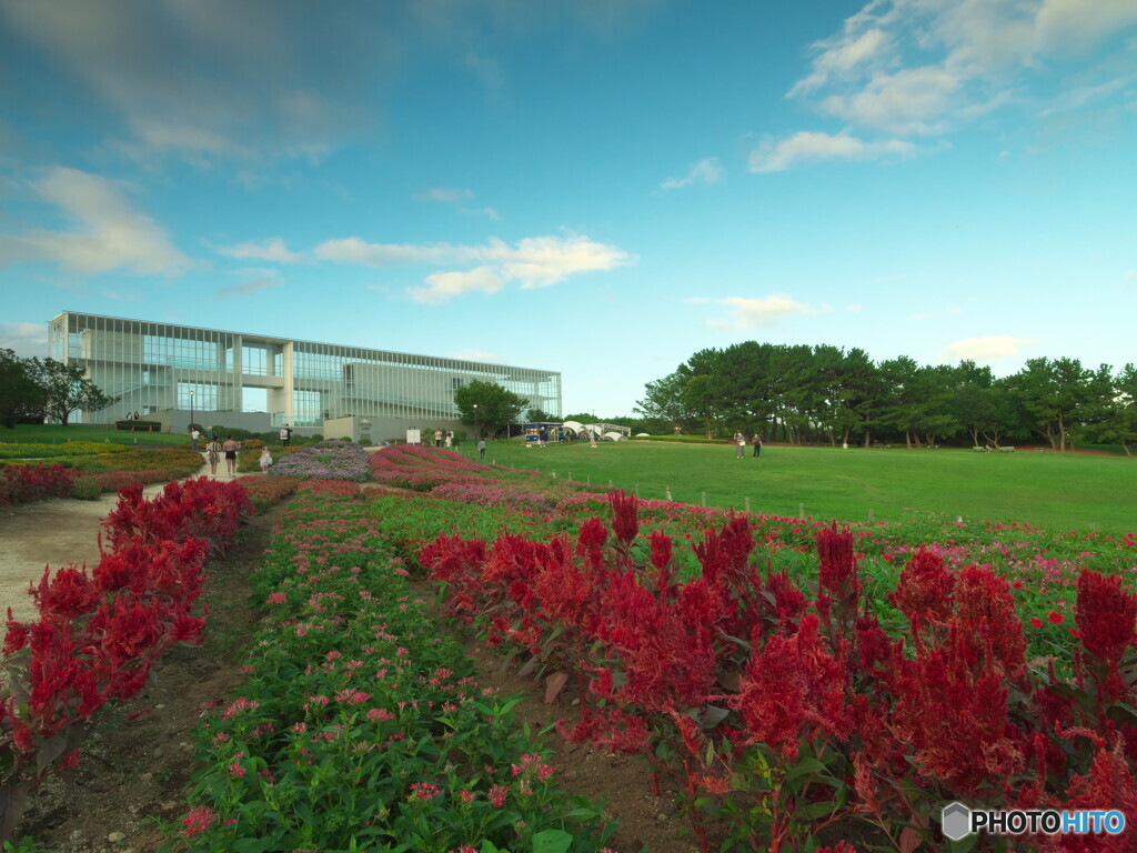 クリスタルビューと夕暮れの夏空#2