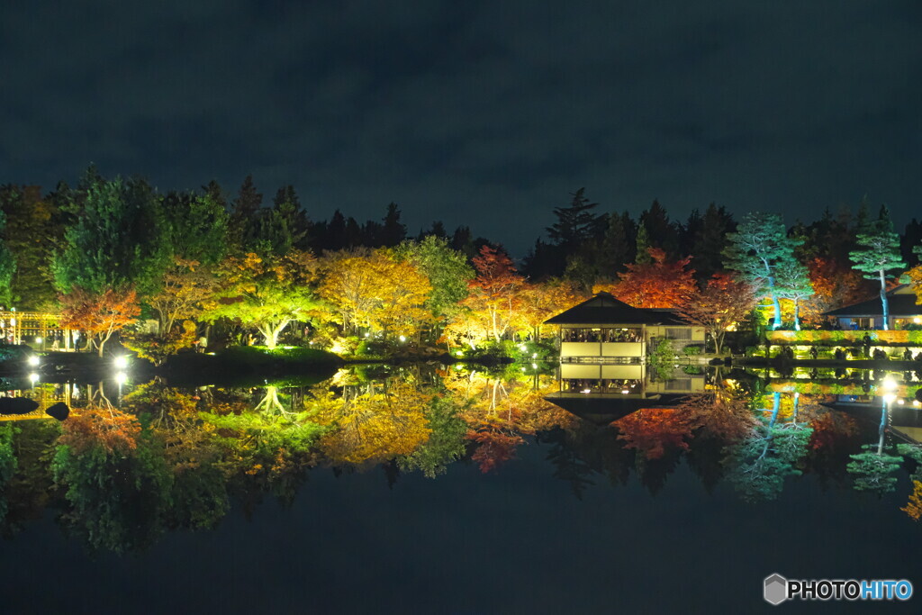 ライトアップが闇に輝きます＃１