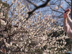 撮る