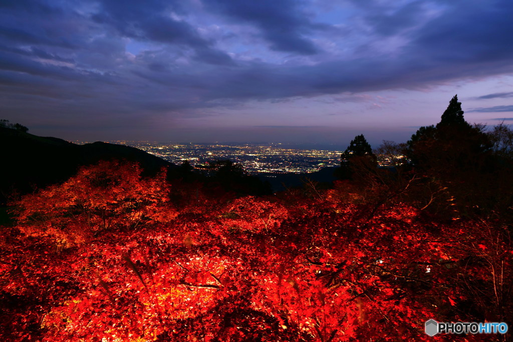 トワイライト紅葉　P1029180