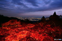 トワイライト紅葉　P1029180