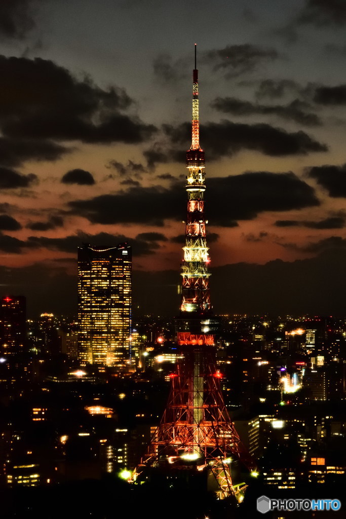 ライトアップされたばかりの東京タワー　DSC_5320