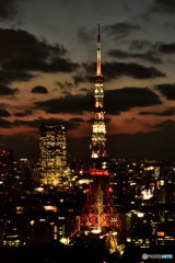 ライトアップされたばかりの東京タワー　DSC_5320