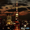 ライトアップされたばかりの東京タワー　DSC_5320