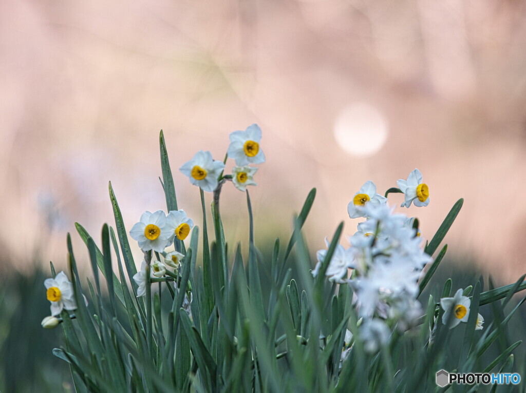 春が待ち遠しい