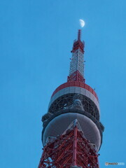 東京タワーと月～ライトアップ前