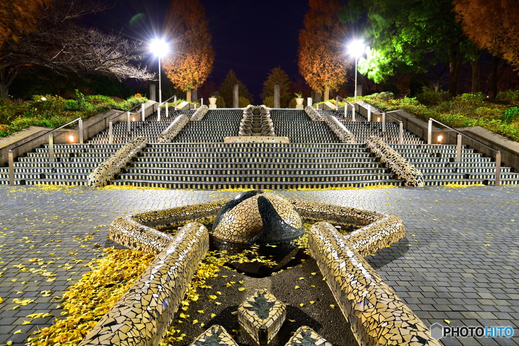 シンメトリー　DSC_6940