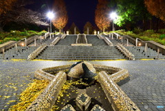 シンメトリー　DSC_6940