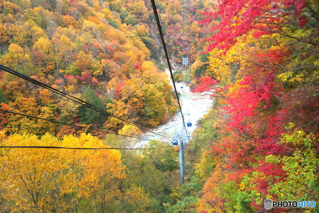 急降下　P1018193