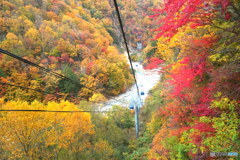 急降下　P1018193