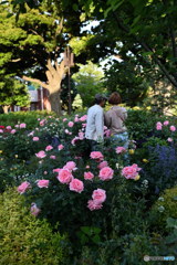 うまく撮れた？　DSC_9260