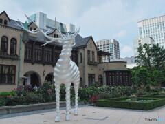 White Deer#1