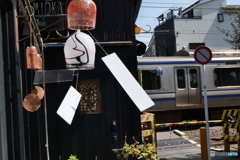 秋の風　P1004524