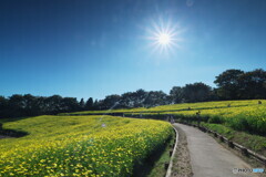 キンキラキンとさりげなく＃２