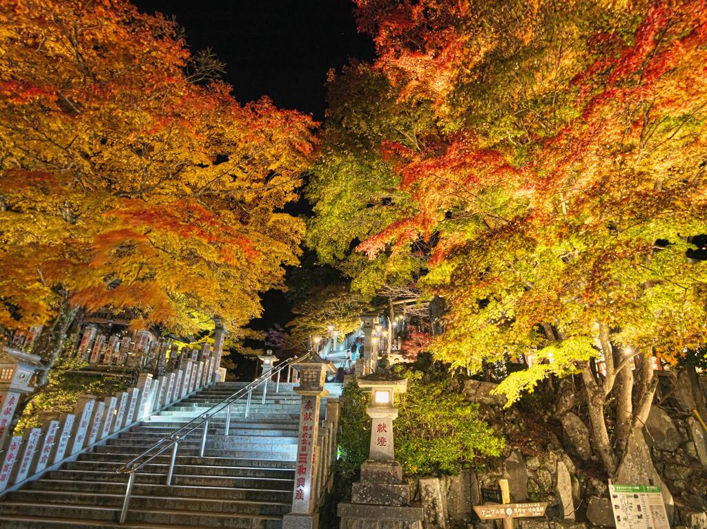 ライトアップされた紅葉と石段＃２