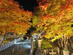 ライトアップされた紅葉と石段＃２