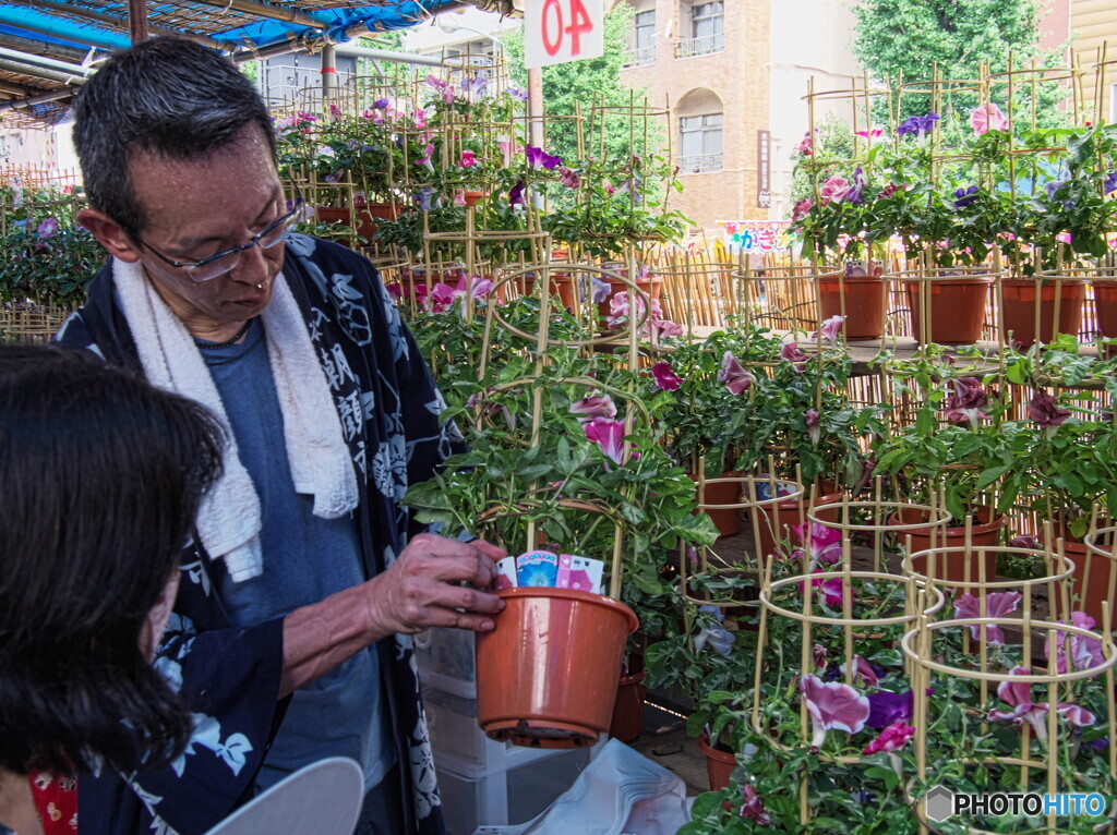 これなんかは、いかが？