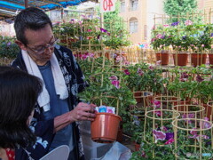 これなんかは、いかが？