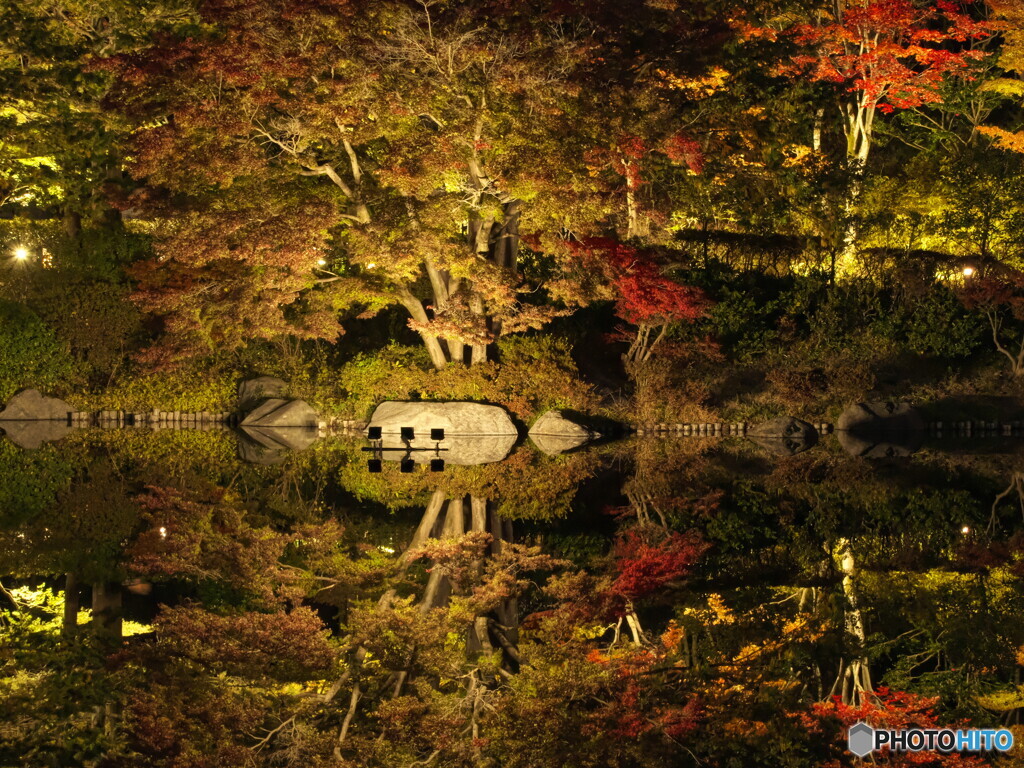 昭和記念公園の秋の夜散歩＃３