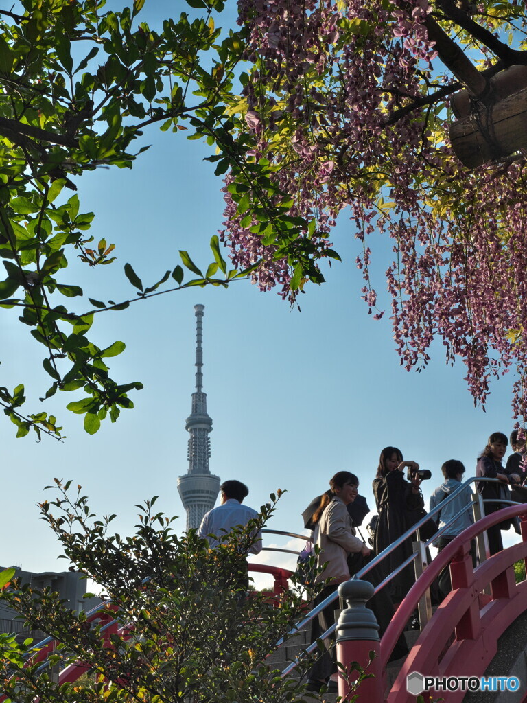 夜景と昼景＃２